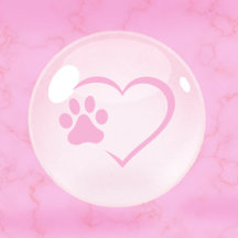 Puppy and Dog Essentials