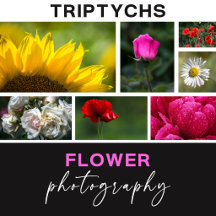 Flower Photography Triptychs