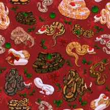 Zoologylove Holidays!