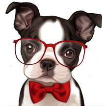 dogs and cat