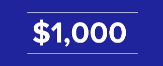$1,000