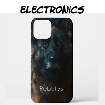 Electronics