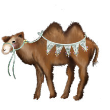 Twins! One bump, two bump