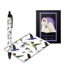 Pens & Paper