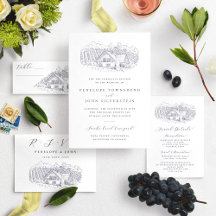 Vineyard Illustration Destination Wedding Suite