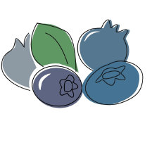Fresh Blueberries