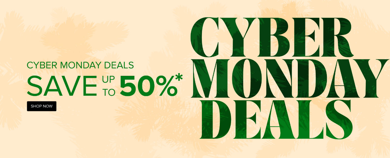 Cyber Monday Deals - Save up to 50% - Shop Now!