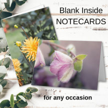 Blank Inside Note Cards