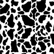 Cow Spot Patterns