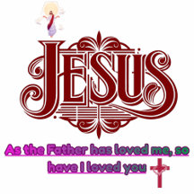 Frosted Elegance Hoodie collection