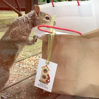 @designsbytiffanyduffy