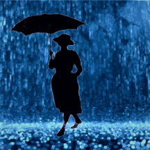 Various designs Throw Pillow