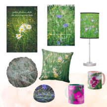 Wildflowers