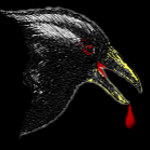 Rabid Crow Art +Graphics