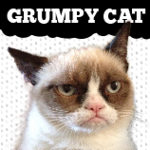 Official Grumpy Cat Merchandise on Zazzle