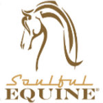 Soulful Equine