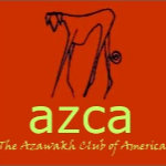 The Azawakh Club Gallery