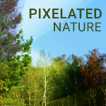 Pixelated Nature