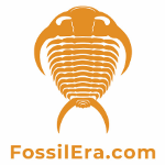 FossilEra
