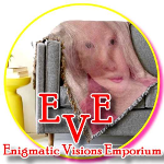Enigmatic Visions Emporium