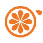 orange_pulp