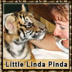 Little Linda Pinda Designs