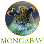 Mongabay Store