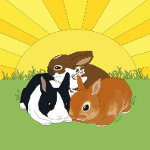 BunniesAndSunshine