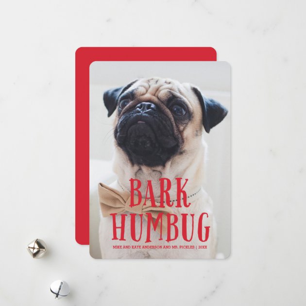 Bark Humbug Cute Puppy Dog | Holiday Photo