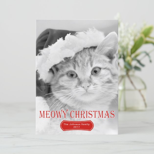Meowy Christmas Red Kitten Pet Christmas Photo Holiday Card