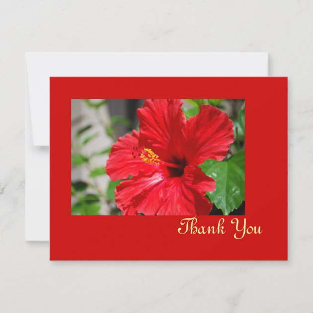 Red Hibiscus Thank You Card (front side)