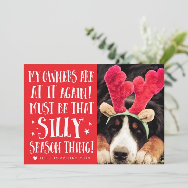 Funny Xmas Quote Pets Christmas Greeting Flat Card