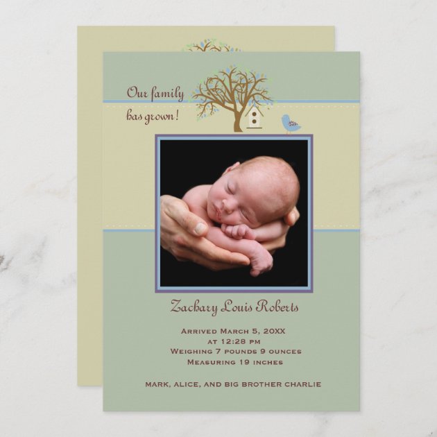 Family Tree Blue - Photo Birth Announcement