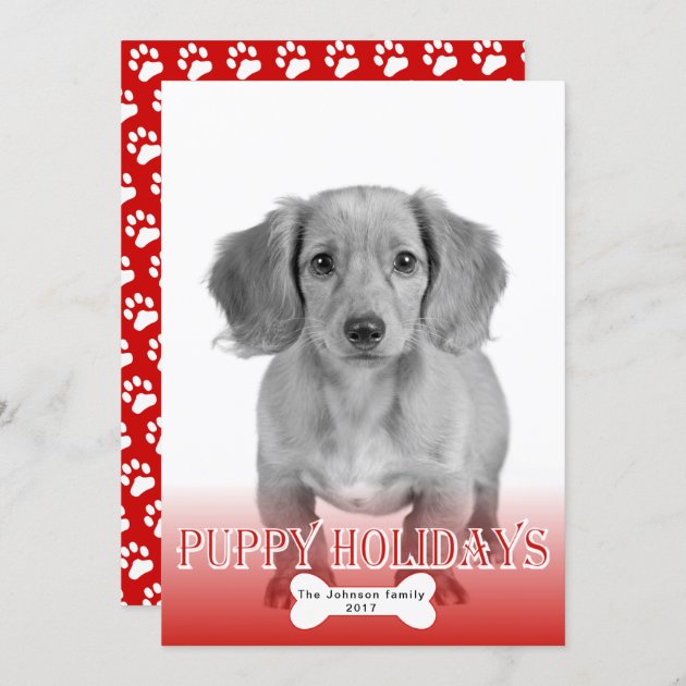 Puppy Holidays Bone Red Pet Christmas Photo Holiday Card