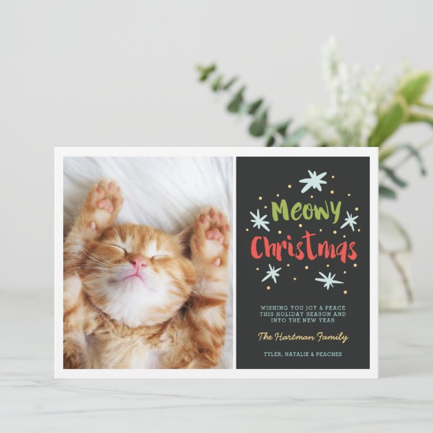 Meowy Christmas Kitty Photo Card | Green