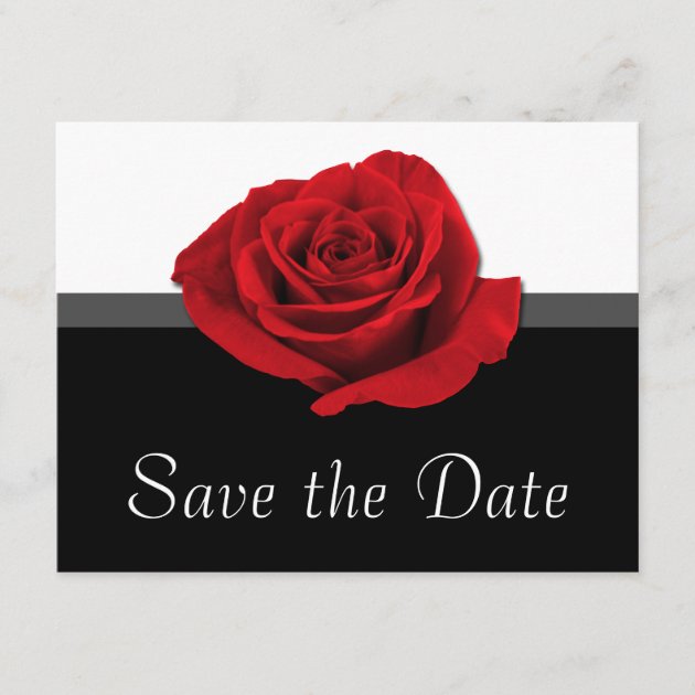 Our Love Rose ~ Save the Date