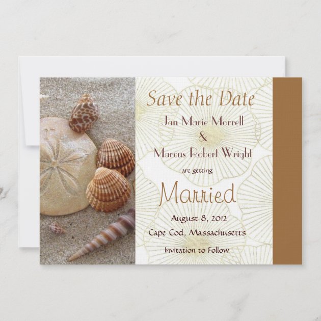 Beach Sea Shells Wedding Save the Date Card