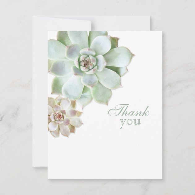 Elegant Succulent Graduation Blank Thank You