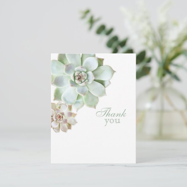 Elegant Succulent Graduation Blank Thank You