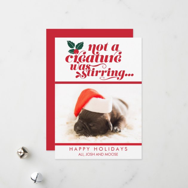 Not A Creature Was Stirring | Pet Christmas Photo Holiday Card