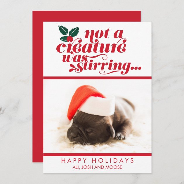 Not A Creature Was Stirring | Pet Christmas Photo Holiday Card