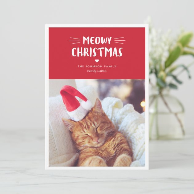 Meowy Christmas | Cute Cat Holiday Photo Card
