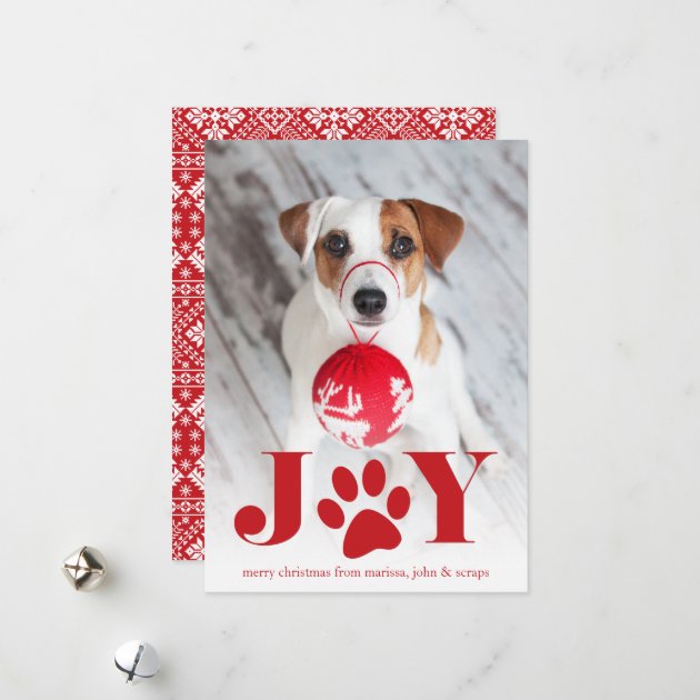 Festive Paws | Pet Photo Holiday Card