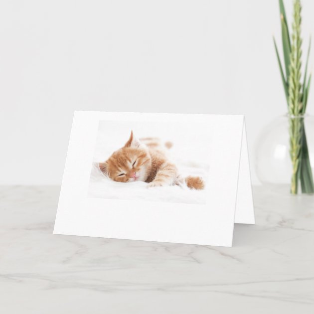 Meowy Christmas Cat Pet Holiday Folded Photo Card