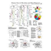 Shiatsu Acupuncture Meridians and Hara Diagnosis Poster | Zazzle.com