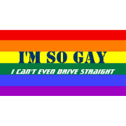 So Gay Can't Even Drive Straight Rainbow Flag License Plate | Zazzle.com