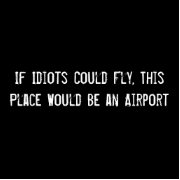 If Idiots Could Fly, This Place Wo... Bumper Sticker | Zazzle