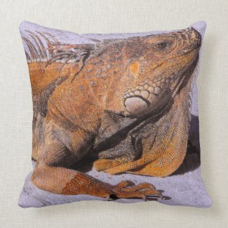 Portrait of the Iguana Pillow