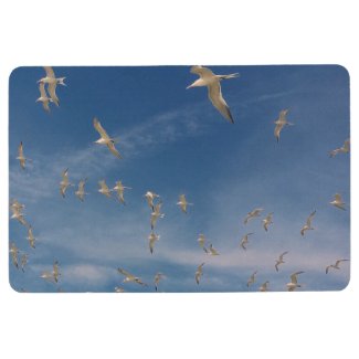 Terns Overhead Floor Mat