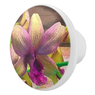 Orchids Blooming Ceramic Knob